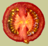 Bild einer Tomate